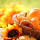 Pumpkin seed oil