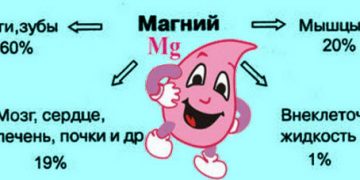 Význam hořčíku pro ženské tělo